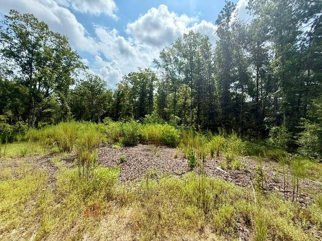 Tbd Martin Road Mount Hermon, LA 70450 - Photo 16 of 18 Gallery Image 16