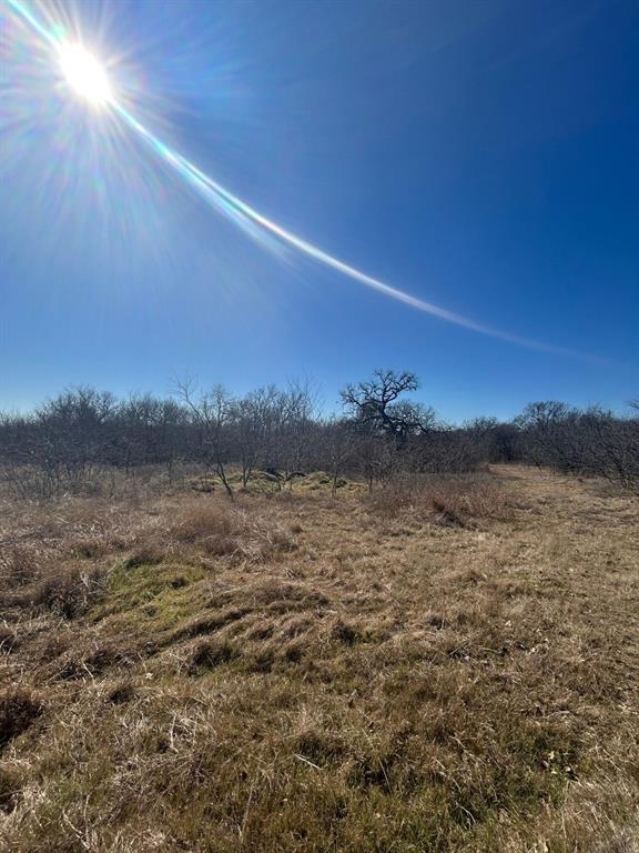 0 Union Hill Road Ennis, TX 75119 - Photo 6 of 8