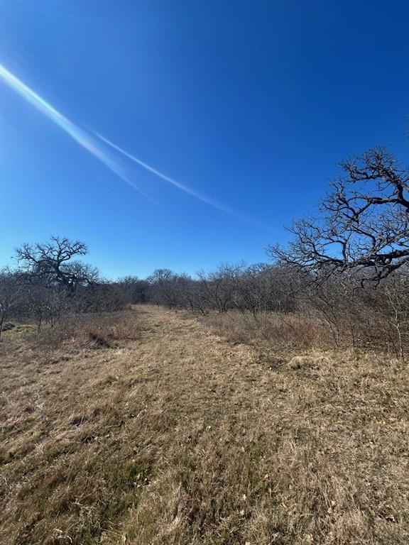 0 Union Hill Road Ennis, TX 75119 - Photo 7 of 8
