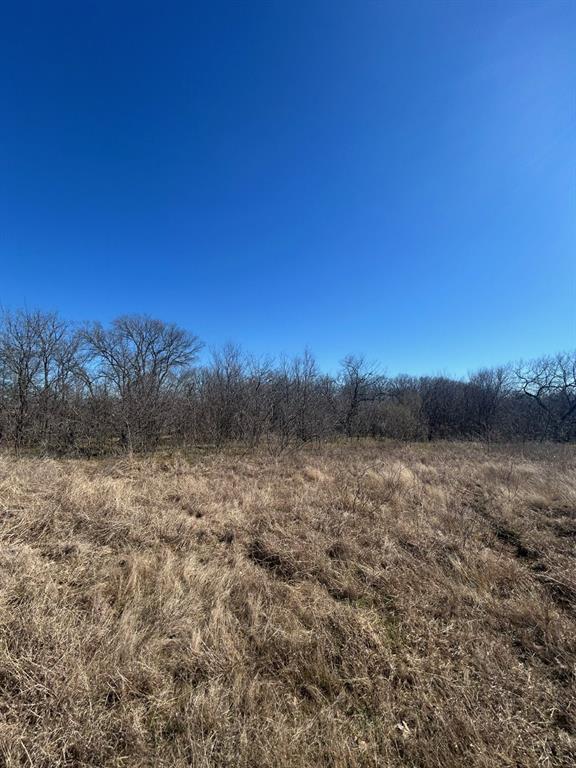 0 Union Hill Road Ennis, TX 75119 - Photo 8 of 8