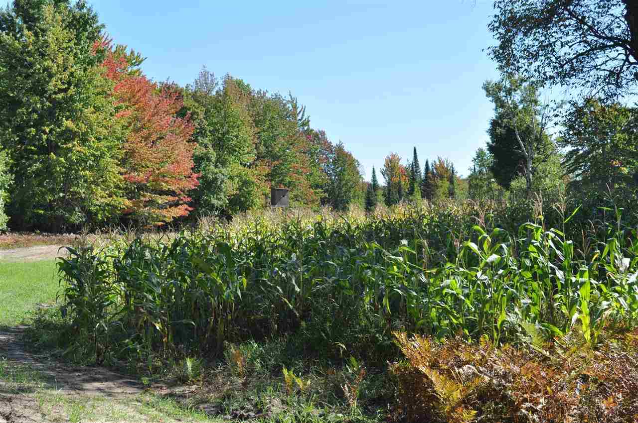 1253 Thomas Road Kalkaska, MI 49646 - Photo 10 of 42 1845856-9.JPG