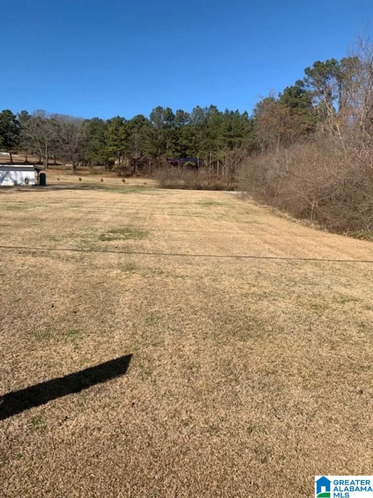 0 Highway 11 Springville Al, Unit 1 Springville, AL 35146 - Photo 2 of 5