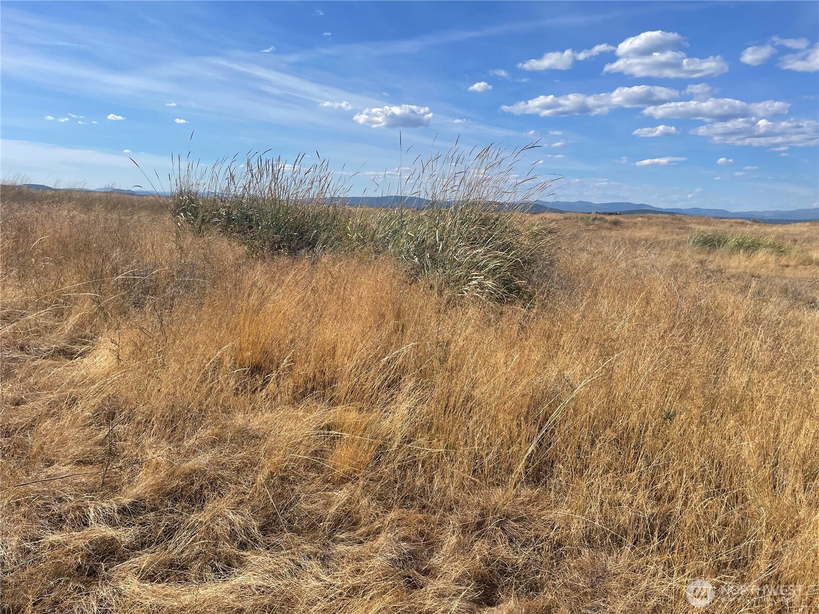35251 Crescent Road North, Unit 3 Reardan, WA 99029 - Photo 14 of 25 a view of lake and mountain
