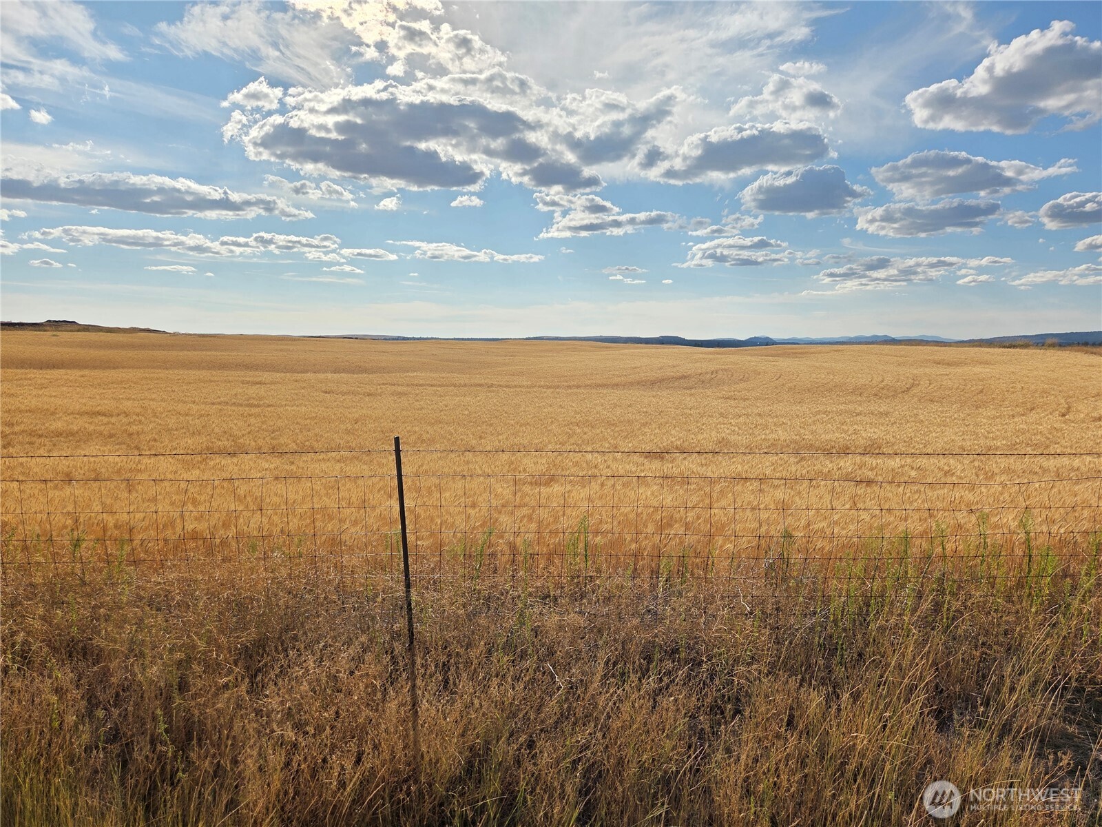 35251 Crescent Road North, Unit 3 Reardan, WA 99029 - Photo 15 of 25 a view of an ocean