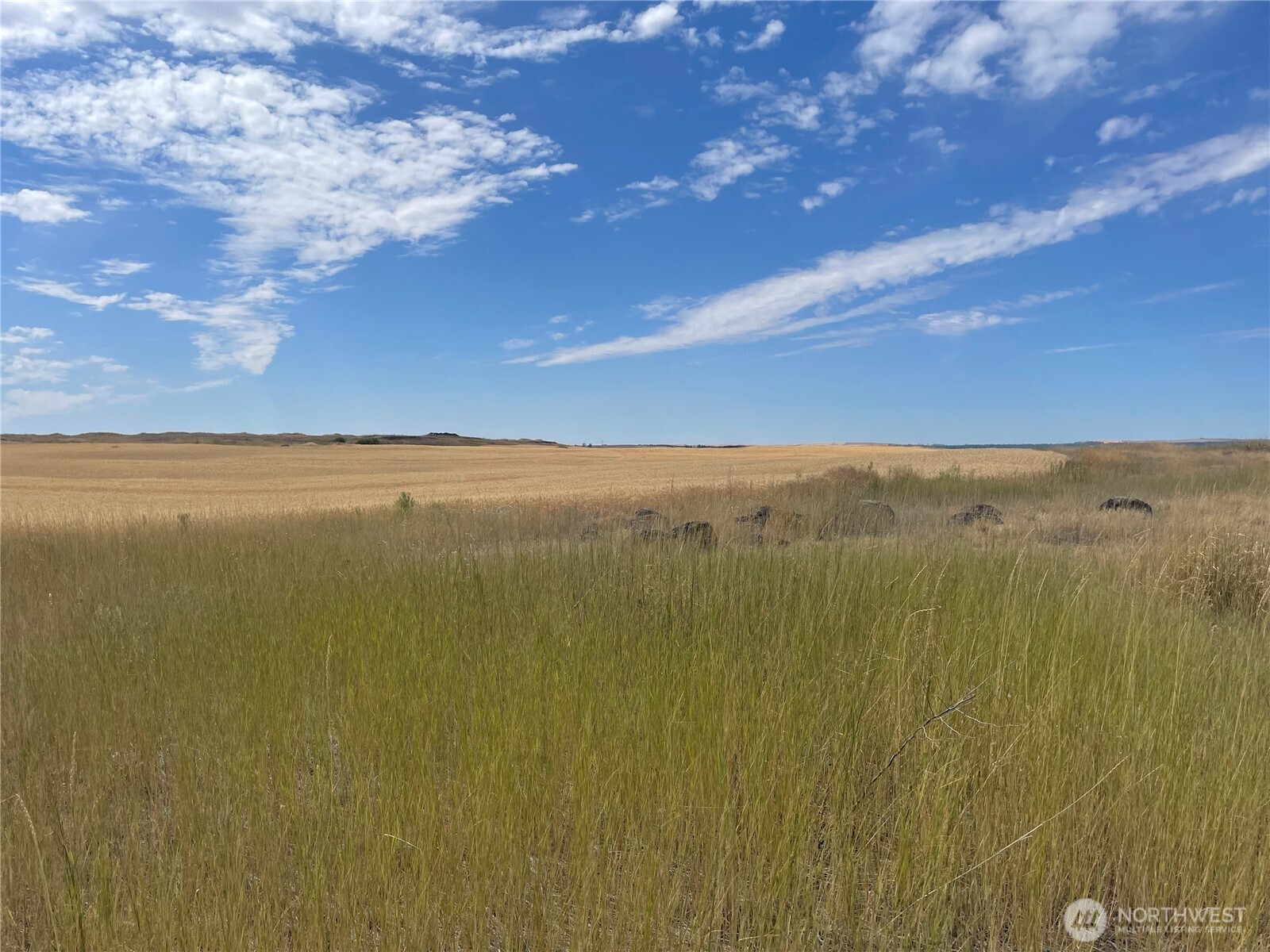 35251 Crescent Road North, Unit 3 Reardan, WA 99029 - Photo 18 of 25 a view of an ocean