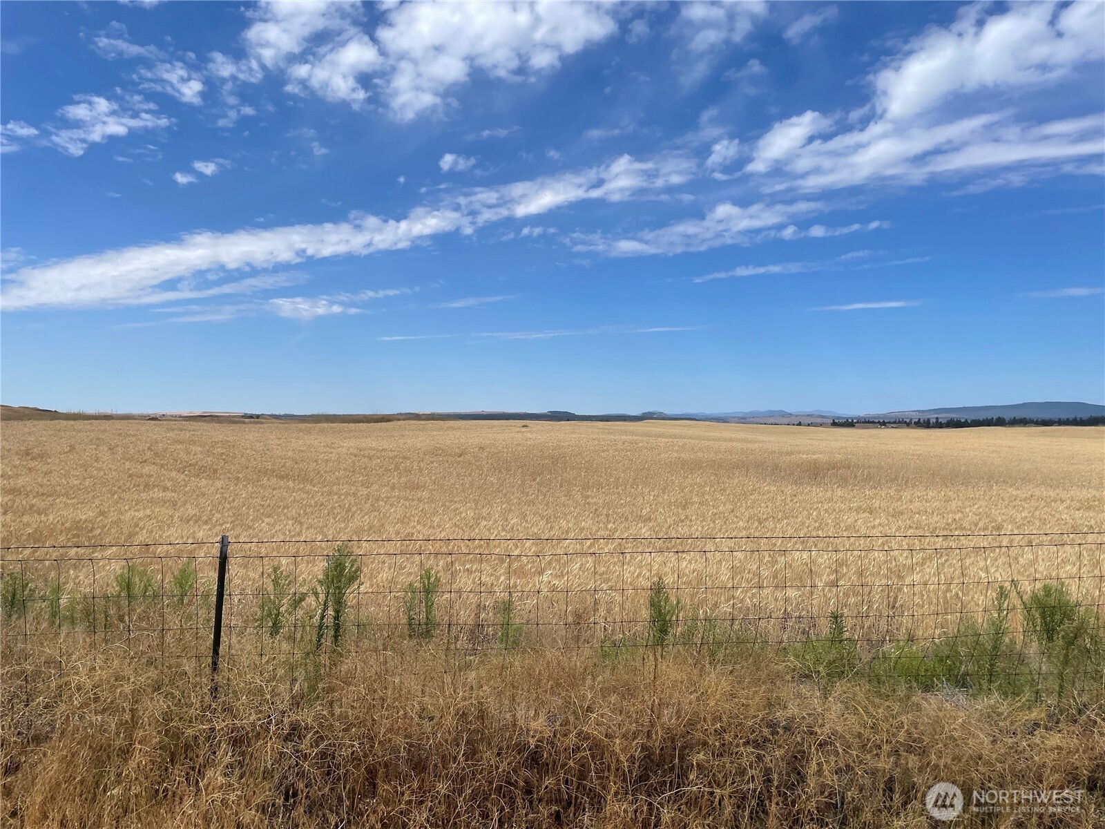 35251 Crescent Road North, Unit 3 Reardan, WA 99029 - Photo 19 of 25 a view of an ocean