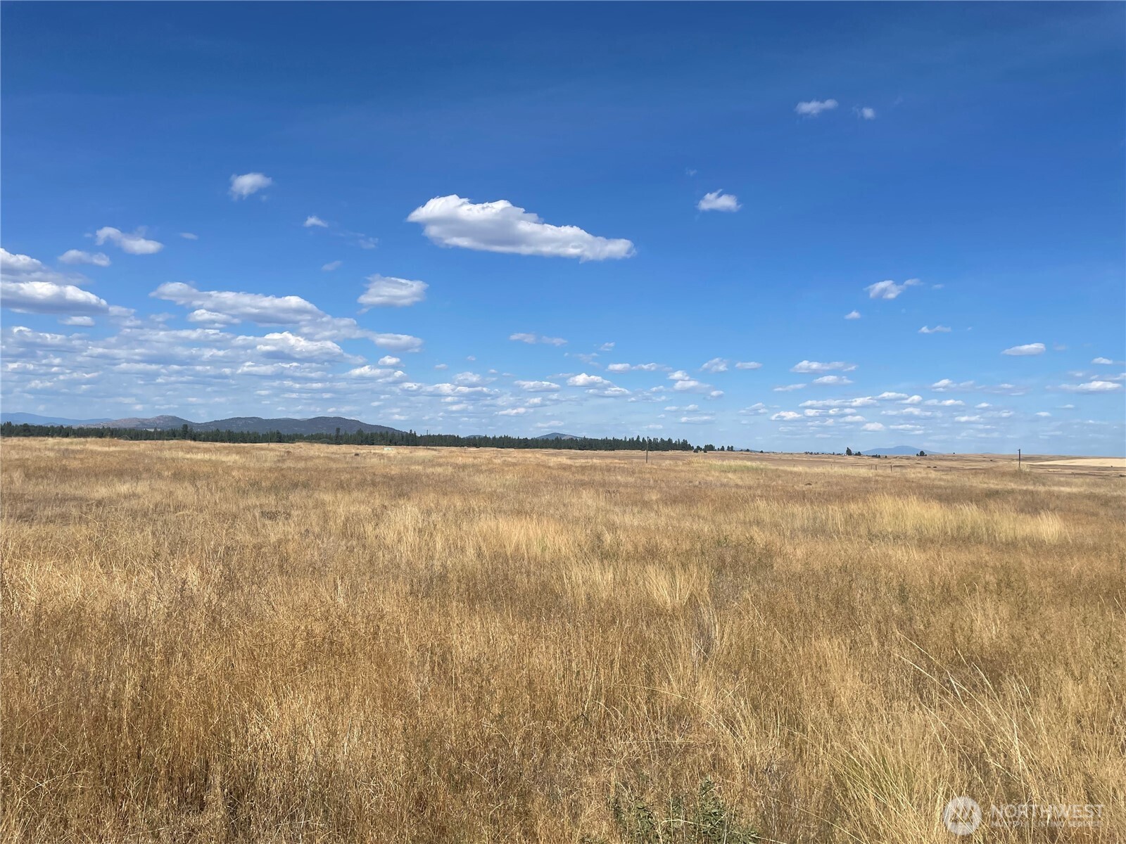 35251 Crescent Road North, Unit 3 Reardan, WA 99029 - Photo 6 of 25 a view of an ocean and a yard
