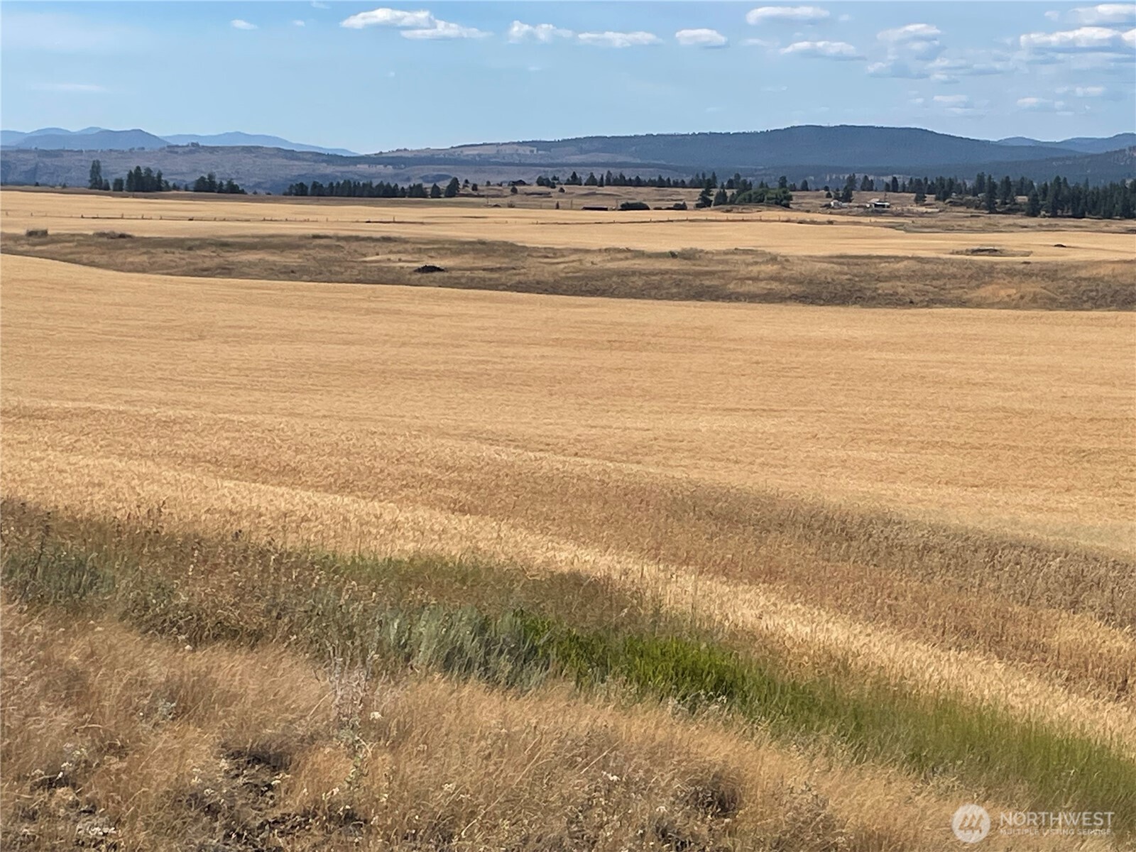 35251 Crescent Road North, Unit 3 Reardan, WA 99029 - Photo 7 of 25 a view of an ocean and beach