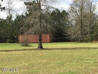 28272 Berry Patch Road Picayune, MS 39466 - Photo 8 of 27 IMG_2446