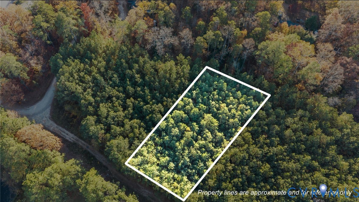 a view of small garden