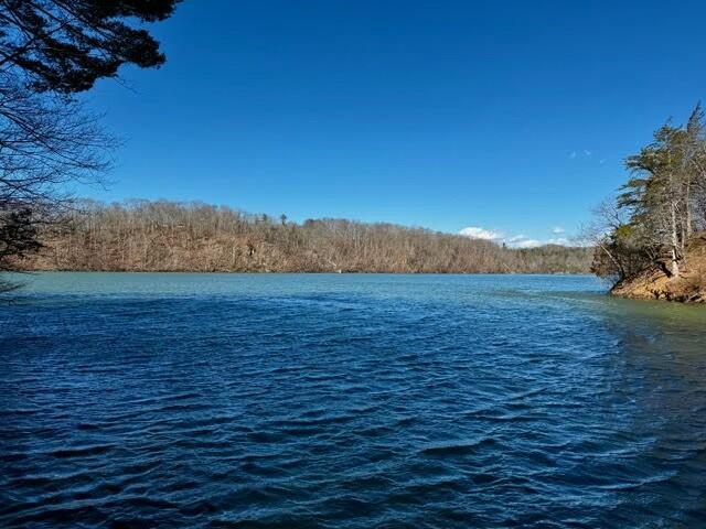 5588 Nunn Hollow Road Hiwassee, VA 24347 - Photo 16 of 16 a view of a lake view and mountain view