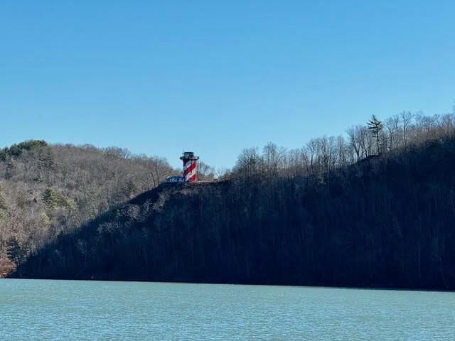 5588 Nunn Hollow Road Hiwassee, VA 24347 - Photo 4 of 16