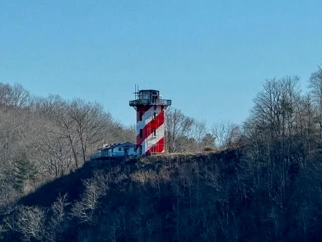 a view of a backyard of the house