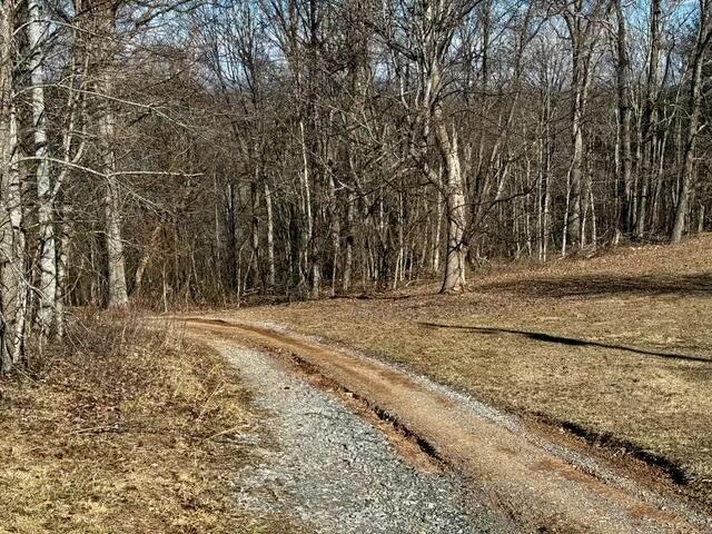 5588 Nunn Hollow Road Hiwassee, VA 24347 - Photo 6 of 16 a view of a backyard of the house