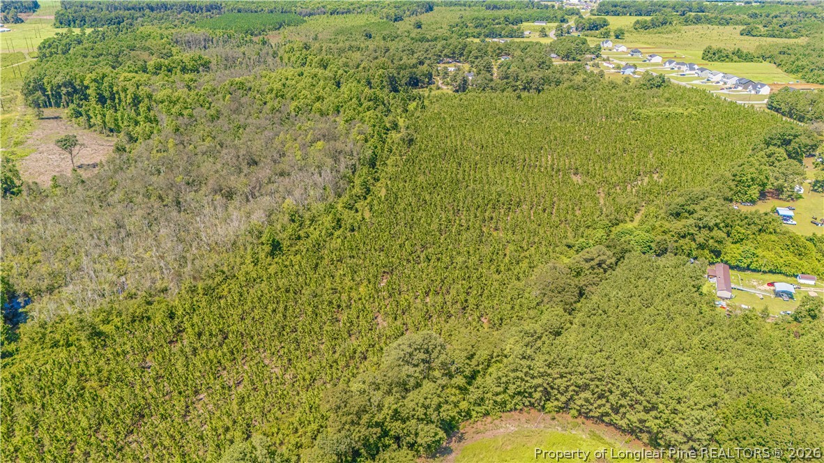 Tbd Blue Springs Road Red Springs, NC 28377 - Photo 4 of 11 Gallery Image 4