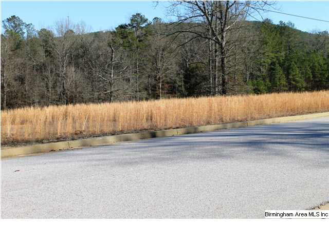 Mount Eagle Lane, Unit 2 Weaver, AL 36277 - Photo 20 of 26