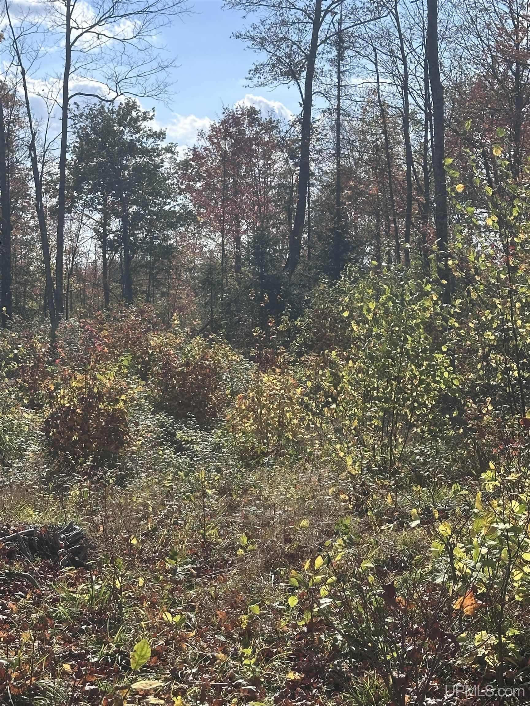 Tbd Co Rd 496 (b) Road, Unit PARCEL B Champion, MI 49814 - Photo 16 of 33