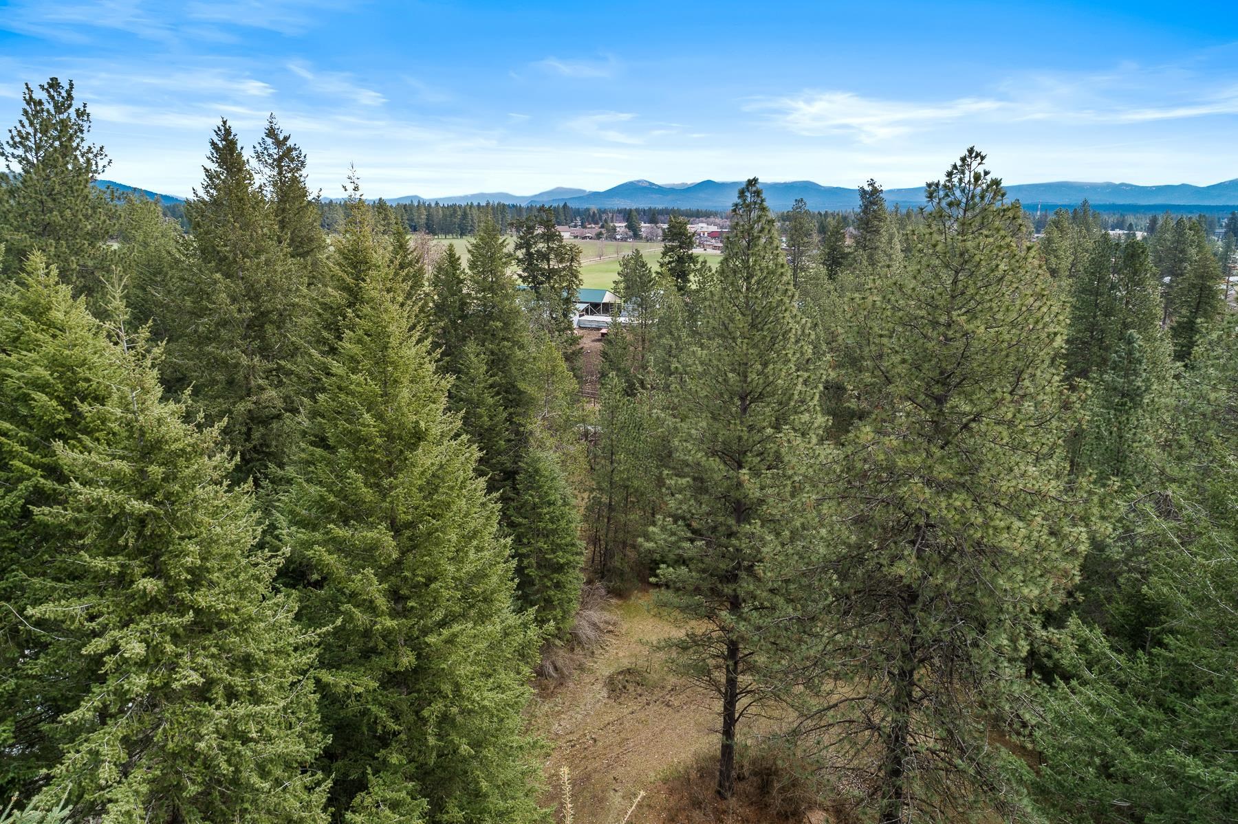 15974 Boise Street Rathdrum, ID 83858 - Photo 7 of 14