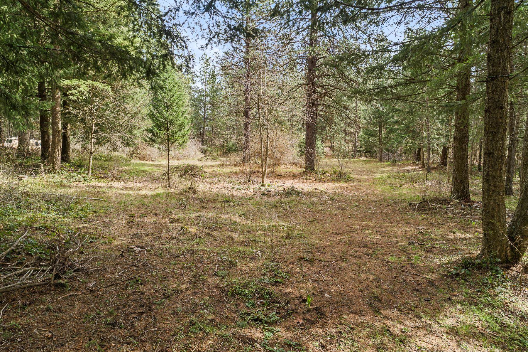 15974 Boise Street Rathdrum, ID 83858 - Photo 10 of 14