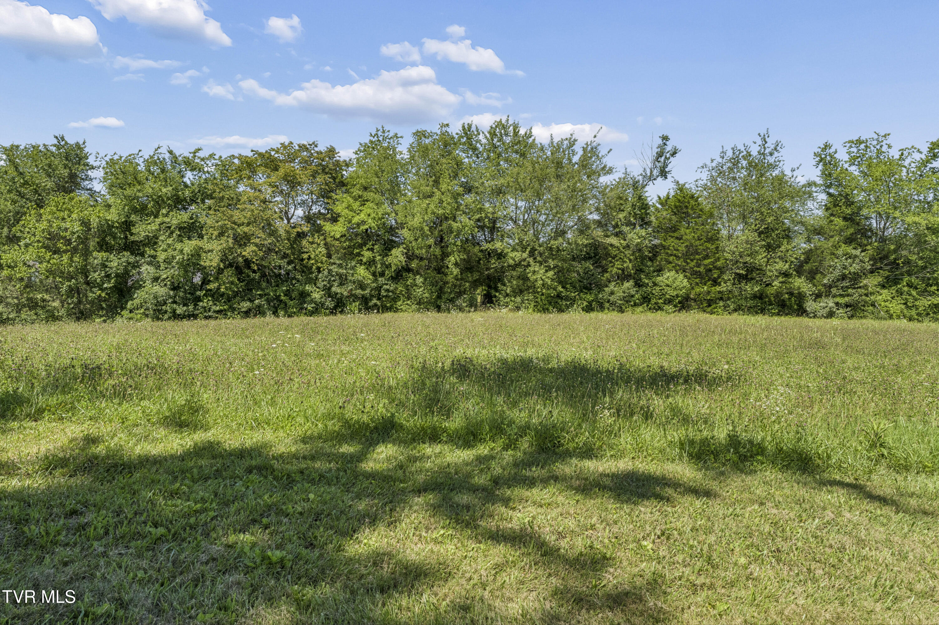 1655 Mary Lamons Road Afton, TN 37616 - Photo 47 of 58 Marylamons-47