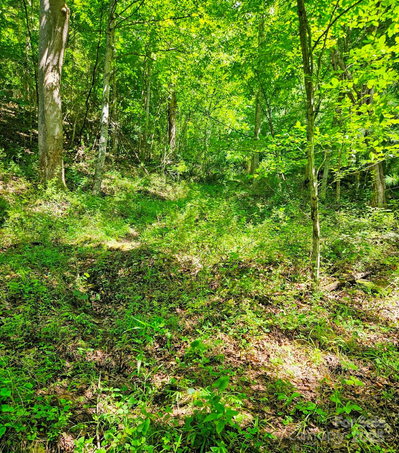 99 Phillips Road Burnsville, NC 28714 - Photo 11 of 15 Gallery Image 11