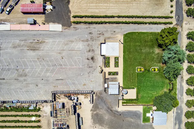 a view of a garden with a tree