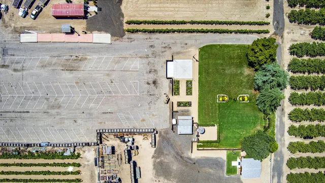 a view of a park with large trees