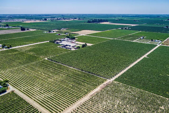 a view of a tennis court