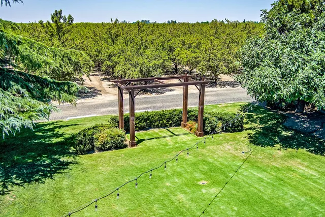 a view of a backyard with potted plants