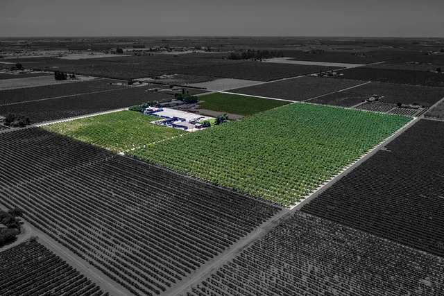 a green field with lots of green space