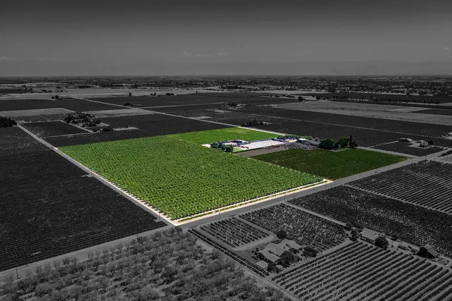 a view of a back yard