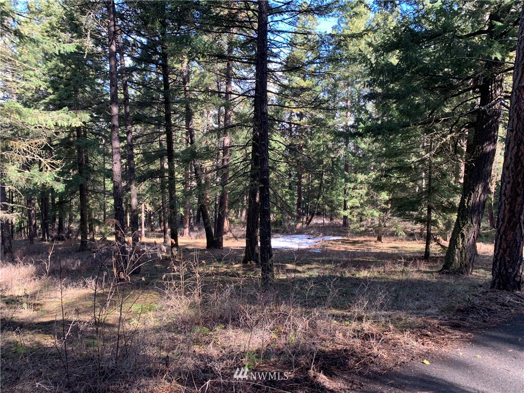 0 Lot 1 Point Cle Elum, WA 98922 - Photo 1 of 4 Gallery Image 1