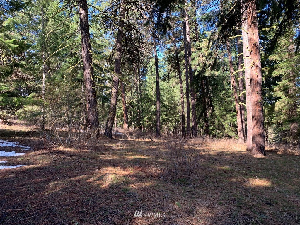 0 Lot 1 Point Cle Elum, WA 98922 - Photo 2 of 4 Gallery Image 2