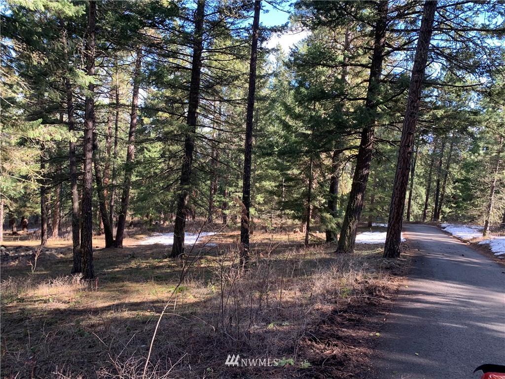 0 Lot 1 Point Cle Elum, WA 98922 - Photo 3 of 4 Gallery Image 3