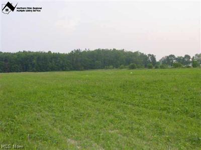 Greenwich Road Homerville, OH 44235 - Photo 1 of 1 Gallery Image 1