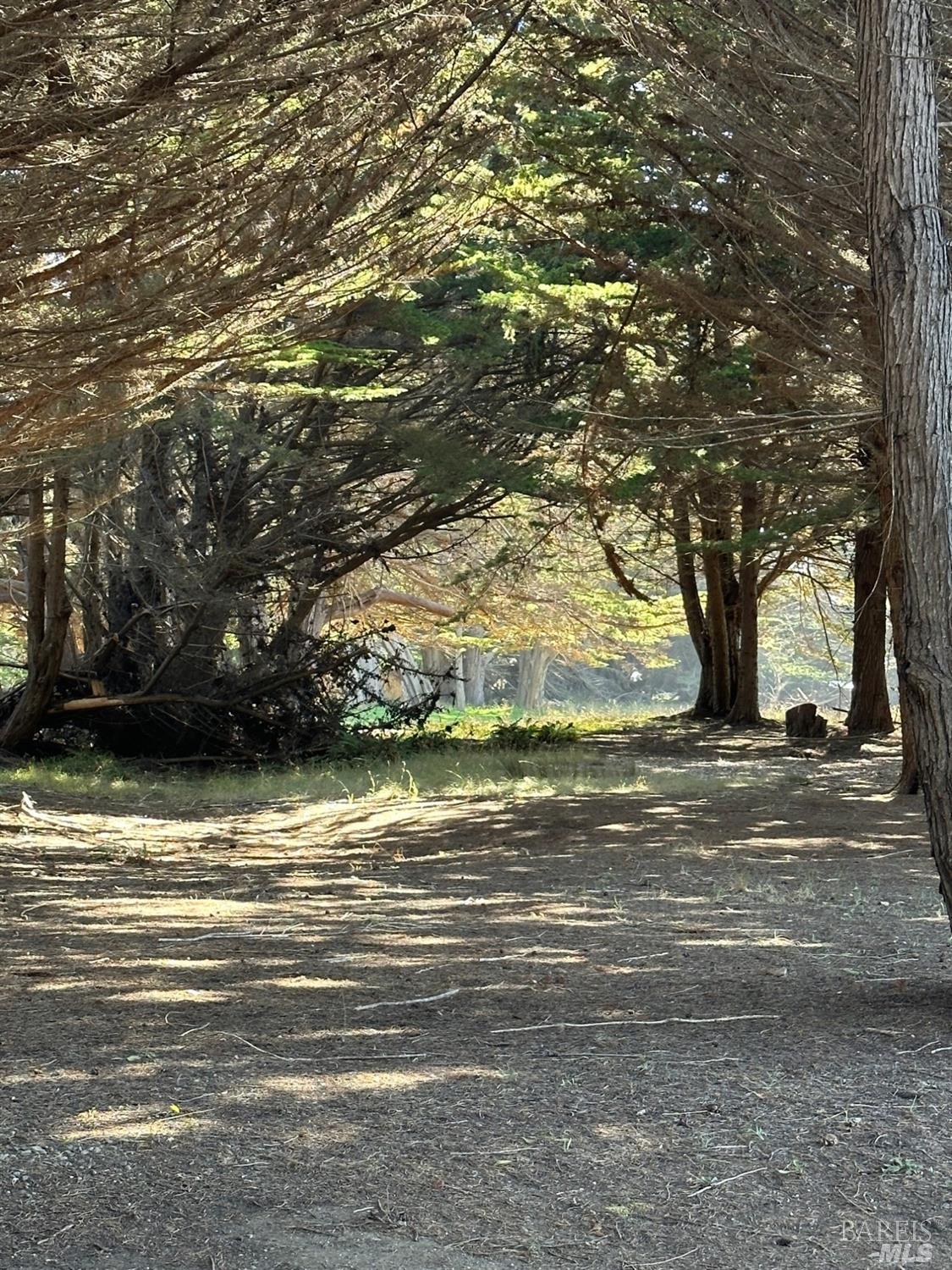 42301 Forecastle The Sea Ranch, CA 95497 - Photo 1 of 1 Gallery Image 1