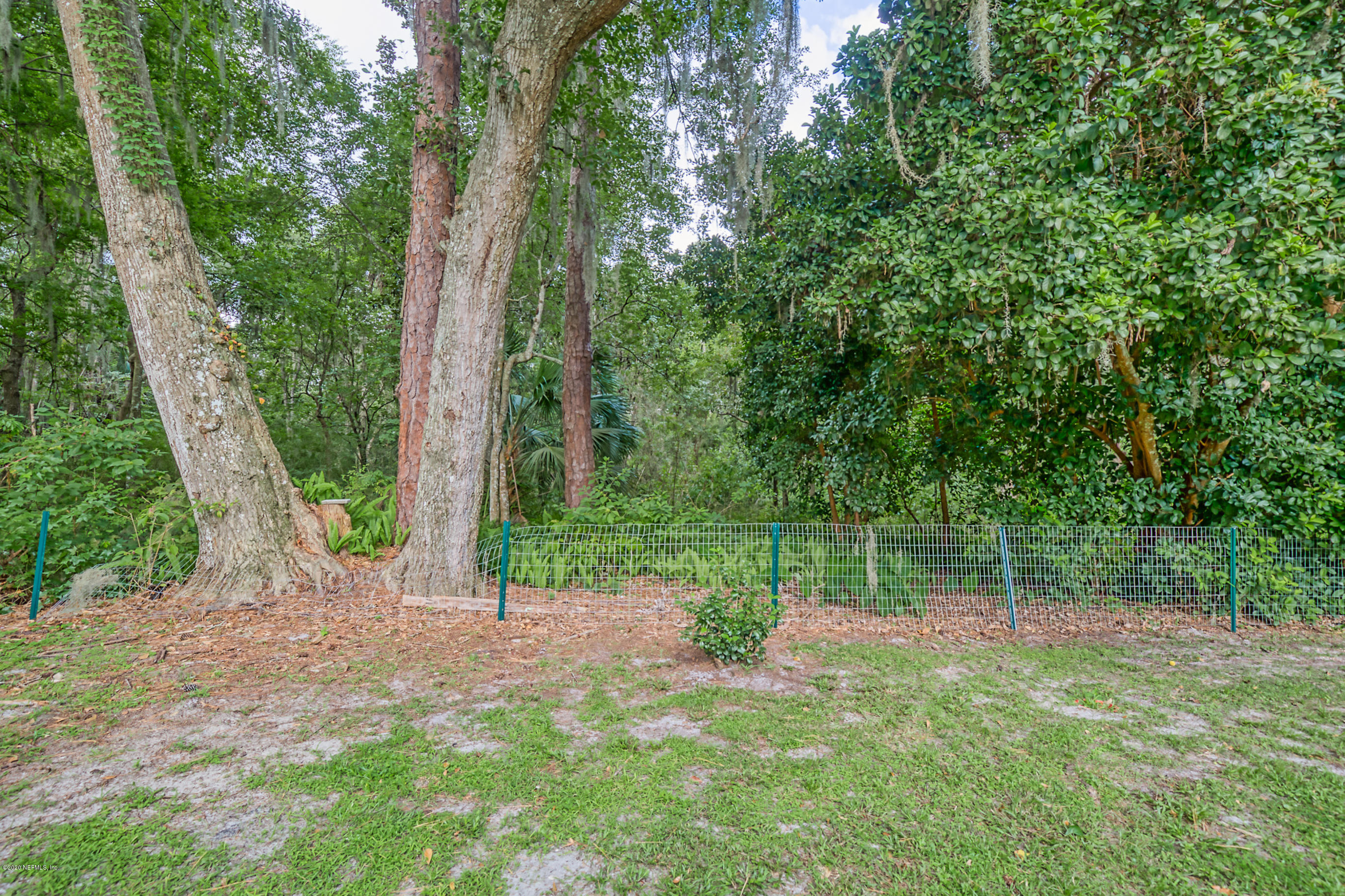11624 St Josephs Road Jacksonville, FL 32223 - Photo 41 of 50 Back