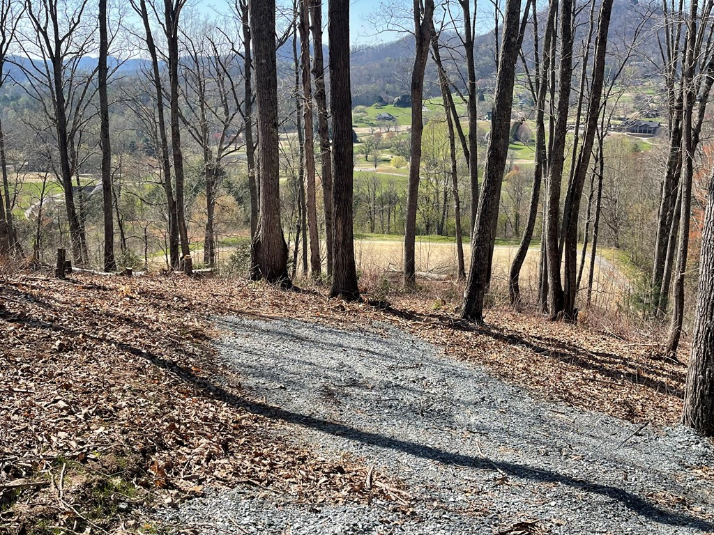 17 M Ridges Hayesville, NC 28904 - Photo 24 of 30