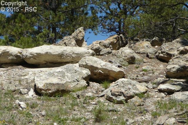 18145 Cumbres Road Peyton, CO 80831 - Photo 23 of 30 Gallery Image 23