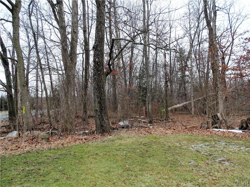 1141 Quince Road Walnutport, PA 18088 - Photo 3 of 7 Gallery Image 3