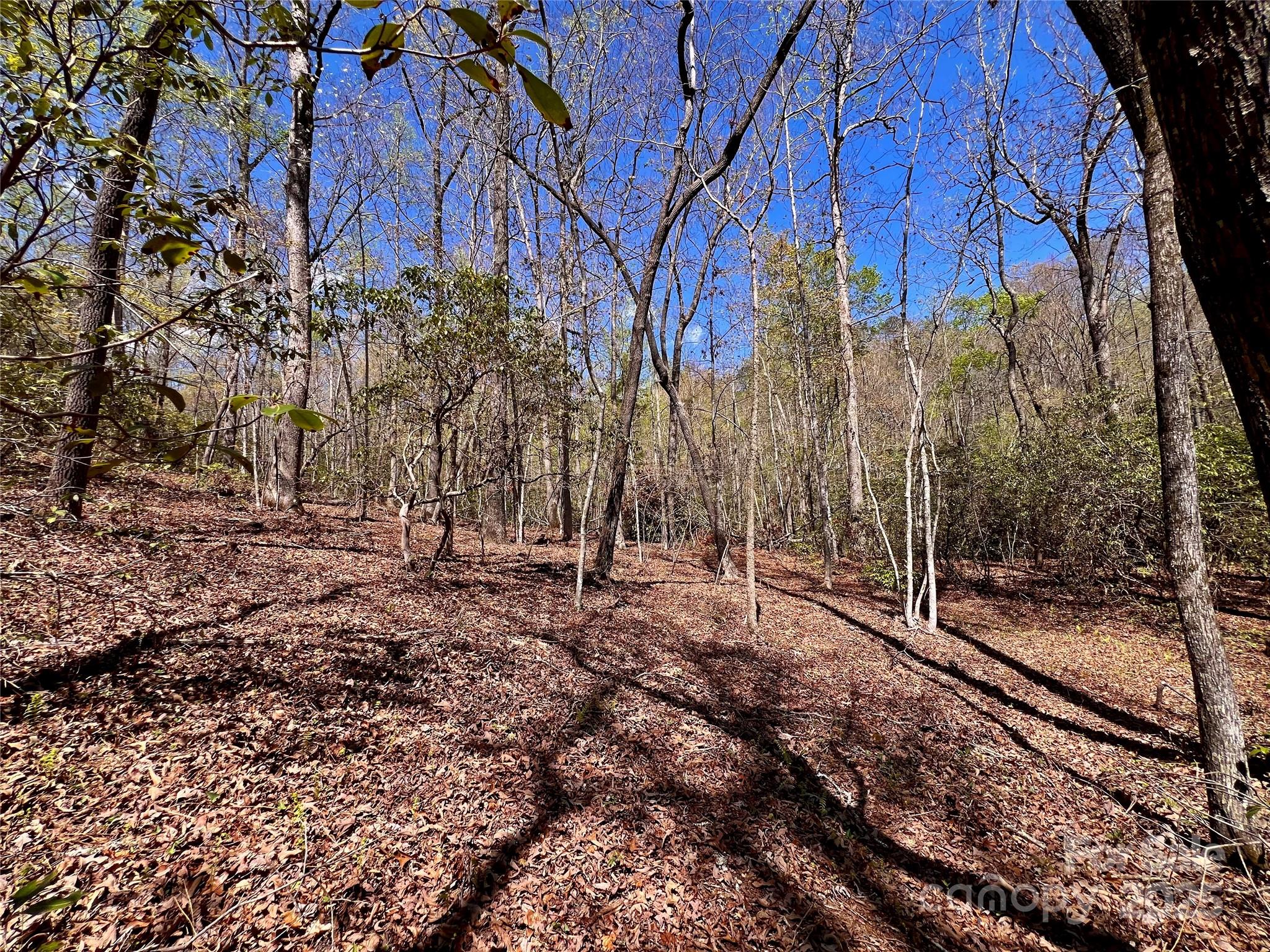 954 Mt Hebron Road Old Fort, NC 28762 - Photo 24 of 28