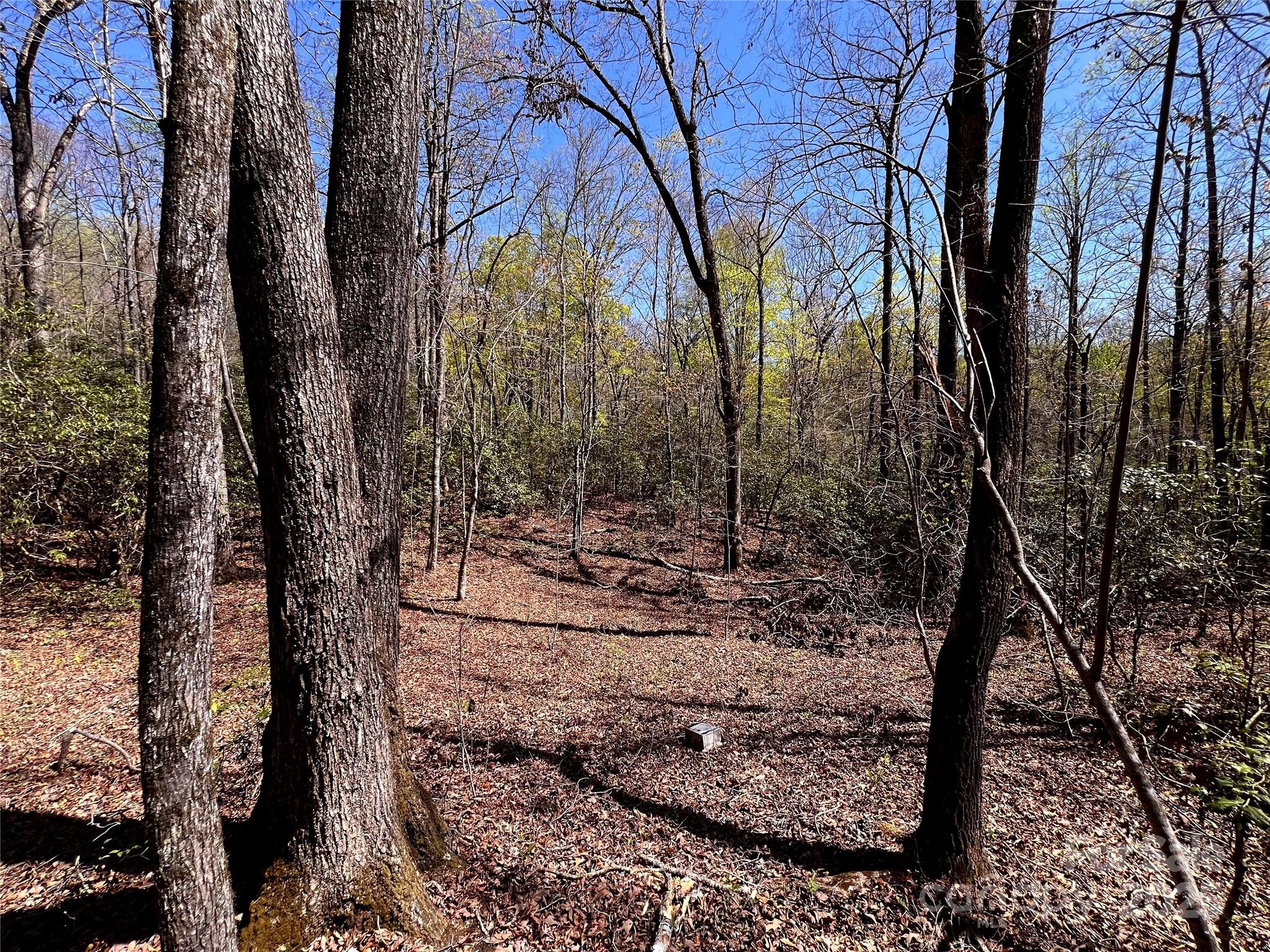 954 Mt Hebron Road Old Fort, NC 28762 - Photo 25 of 28