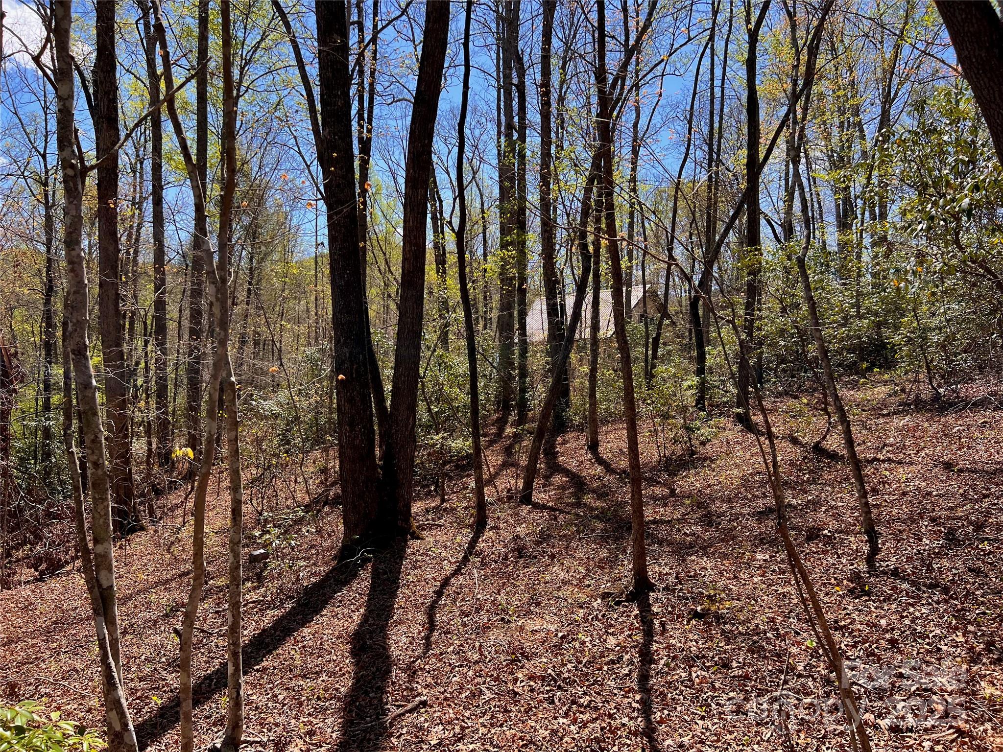 954 Mt Hebron Road Old Fort, NC 28762 - Photo 26 of 28