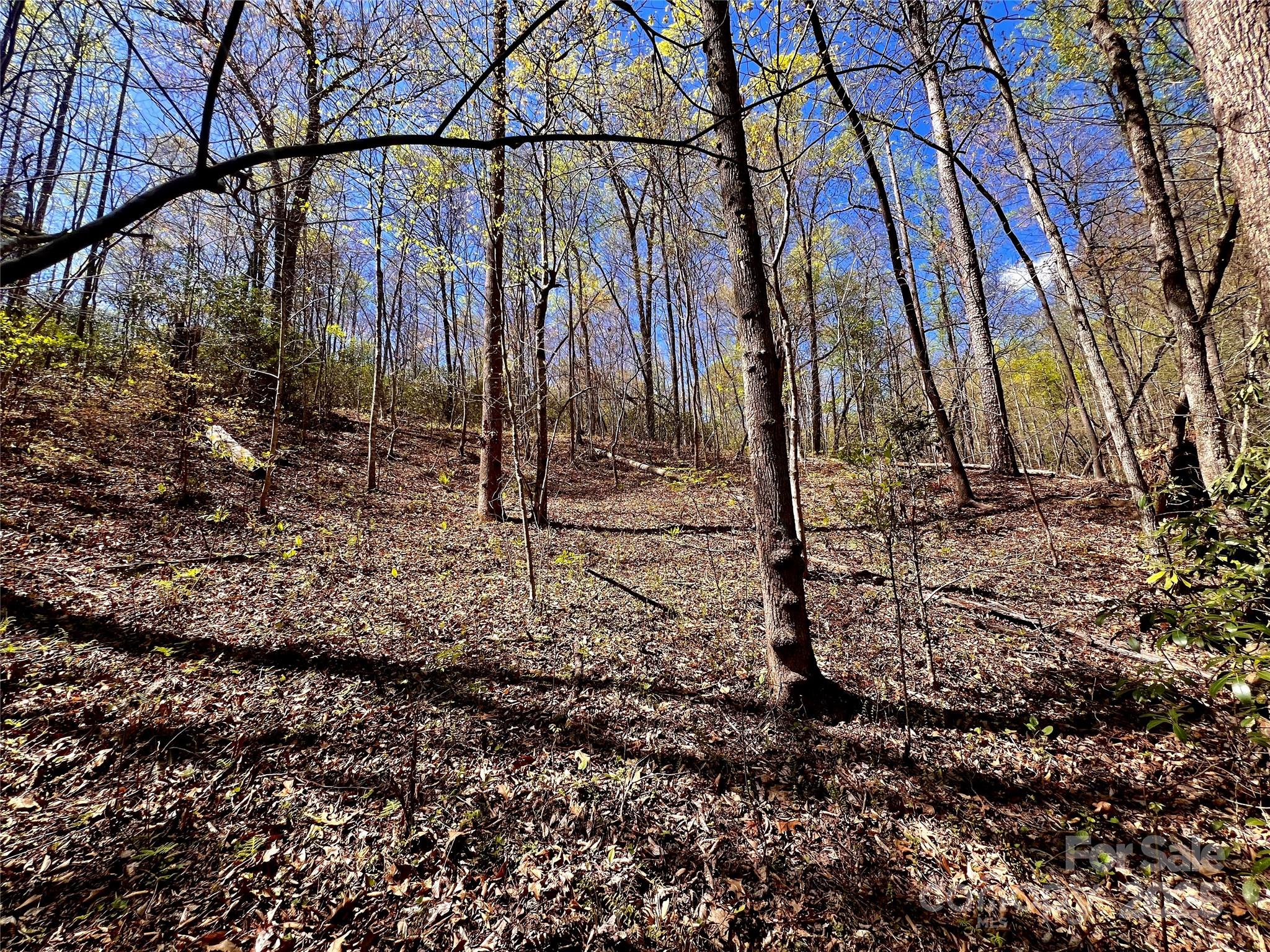 954 Mt Hebron Road Old Fort, NC 28762 - Photo 27 of 28