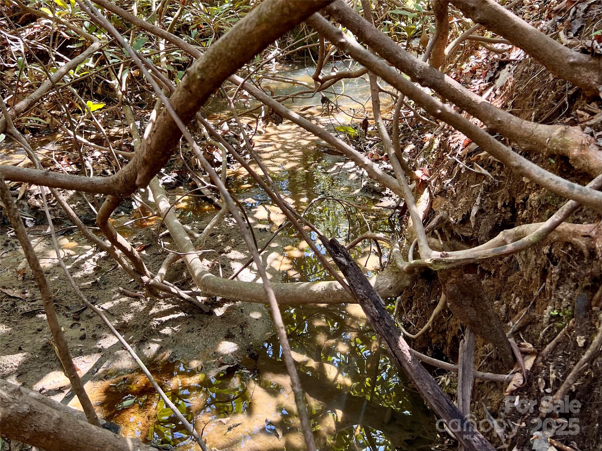 954 Mt Hebron Road Old Fort, NC 28762 - Photo 28 of 28