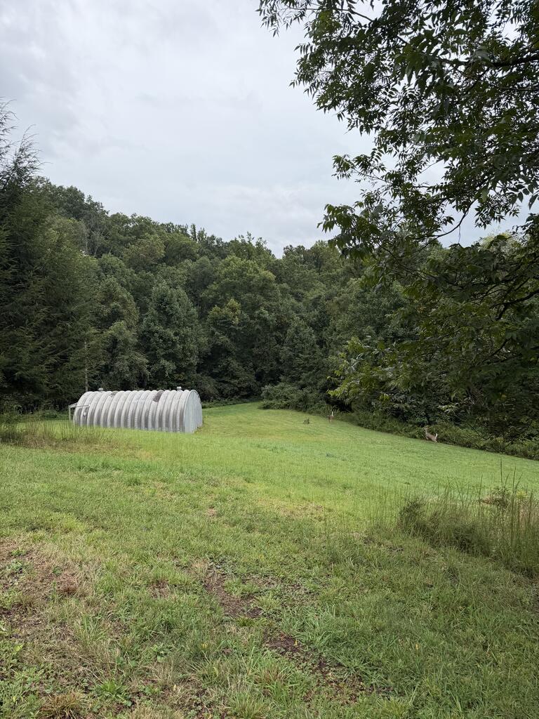 208 West F Sullivan Road Scarbro, WV 25917 - Photo 25 of 32 Gallery Image 25