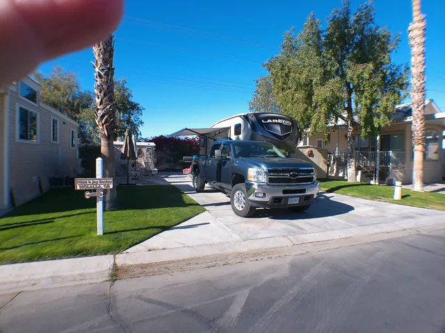 a view of a park with large trees
