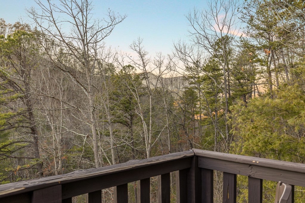 3202 Barry View Way Sevierville, TN 37862 - Photo 54 of 66 Gallery Image 54