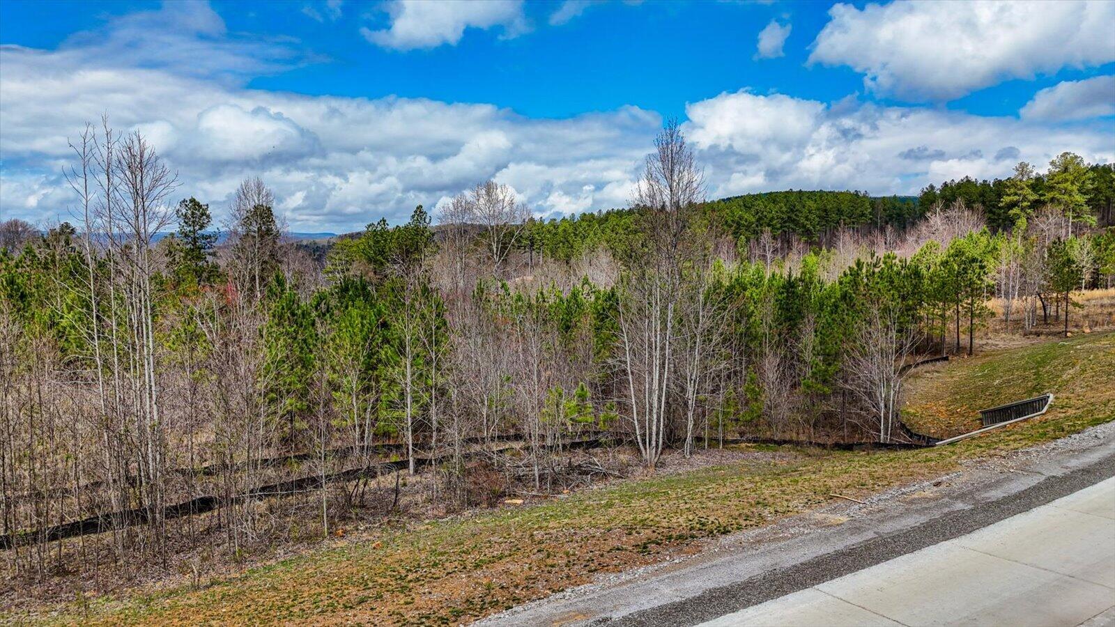 0 Birds Eye Way, Unit LOT 1065 Guild, TN 37340 - Photo 7 of 29 07-Birds Eye Way #1065-7