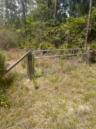 a view of a basket ball court